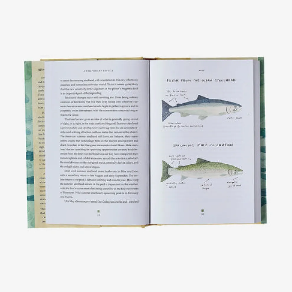 A Temporary Refuge: Fourteen Seasons with Wild Summer Steelhead by Lee Spencer