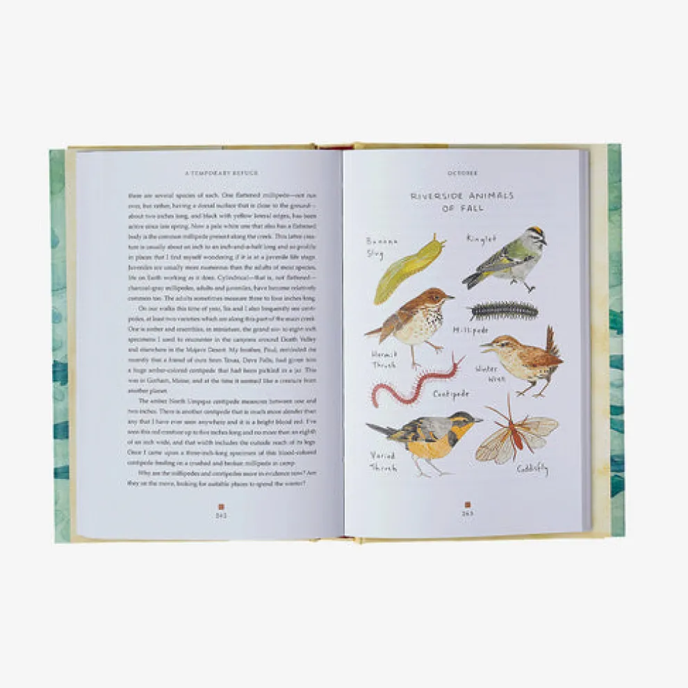 A Temporary Refuge: Fourteen Seasons with Wild Summer Steelhead by Lee Spencer