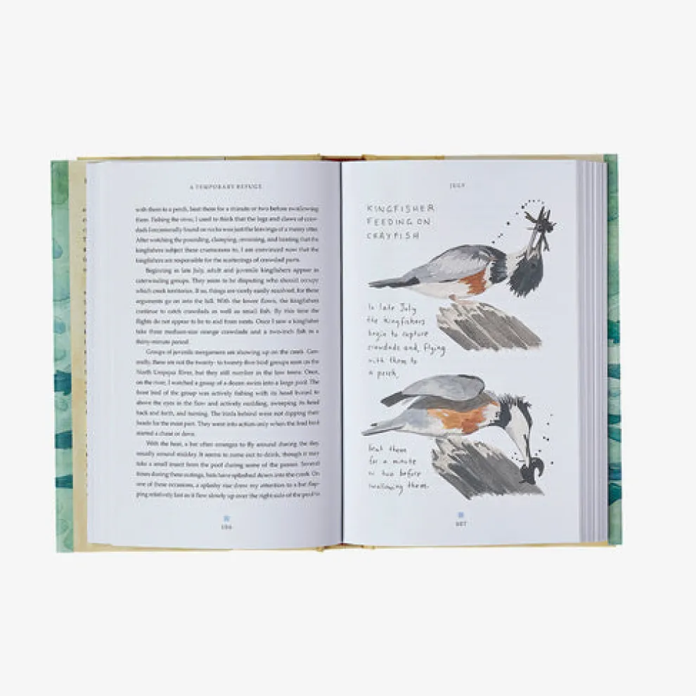 A Temporary Refuge: Fourteen Seasons with Wild Summer Steelhead by Lee Spencer