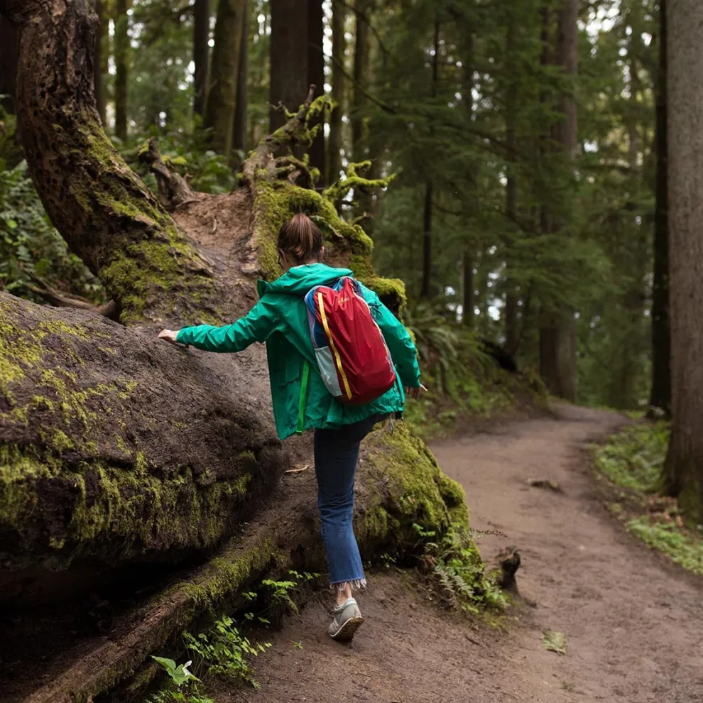 BATAC 16L BACKPACK - DEL DIA