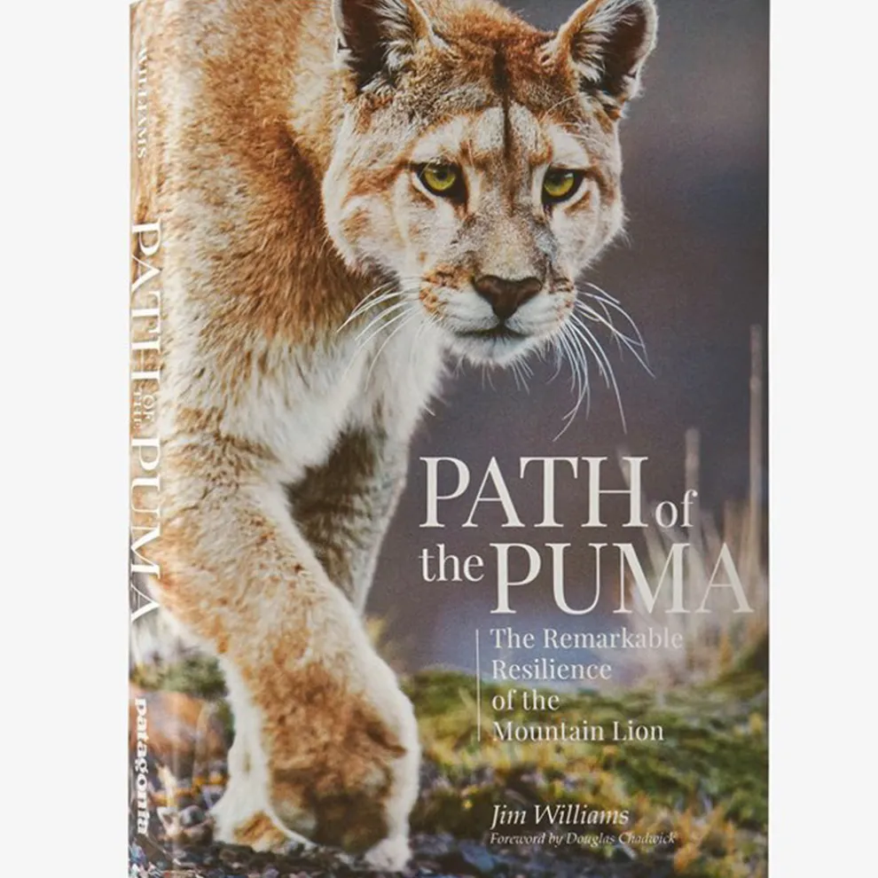 Path of the Puma: The Remarkable Resilience of the Mountain Lion by Jim Williams