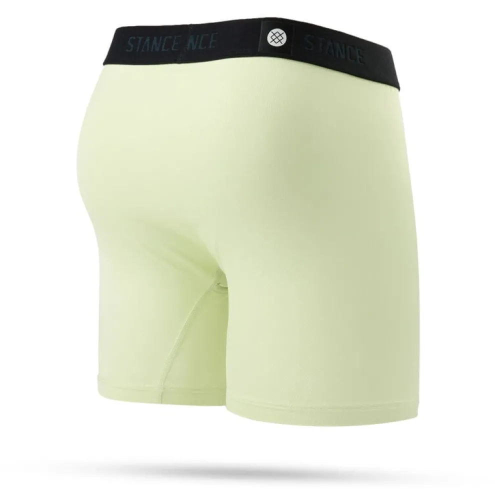 Spearmint Performance Boxer Brief With Wholester for Men