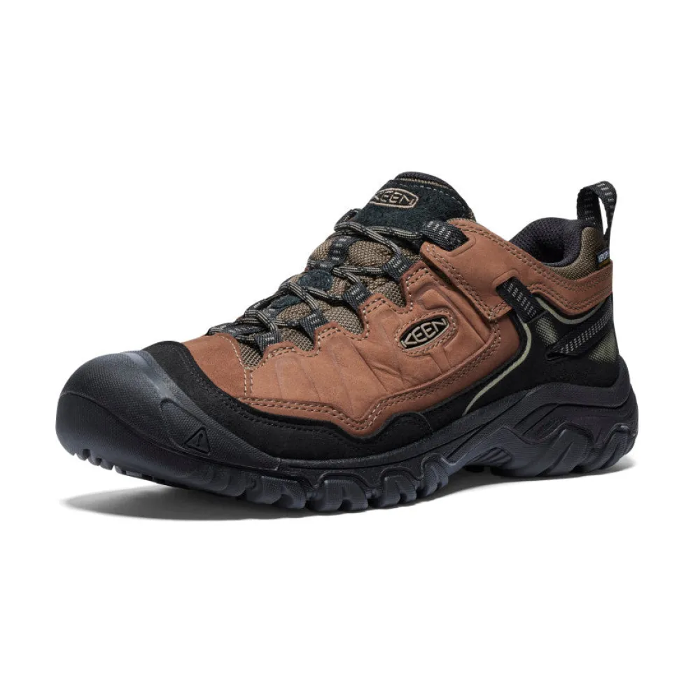 Targhee IV Waterproof Hiking Shoes for Men