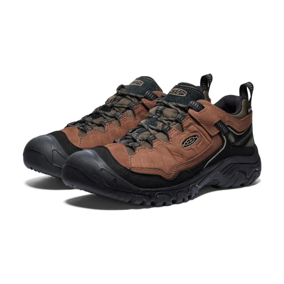 Targhee IV Waterproof Hiking Shoes for Men
