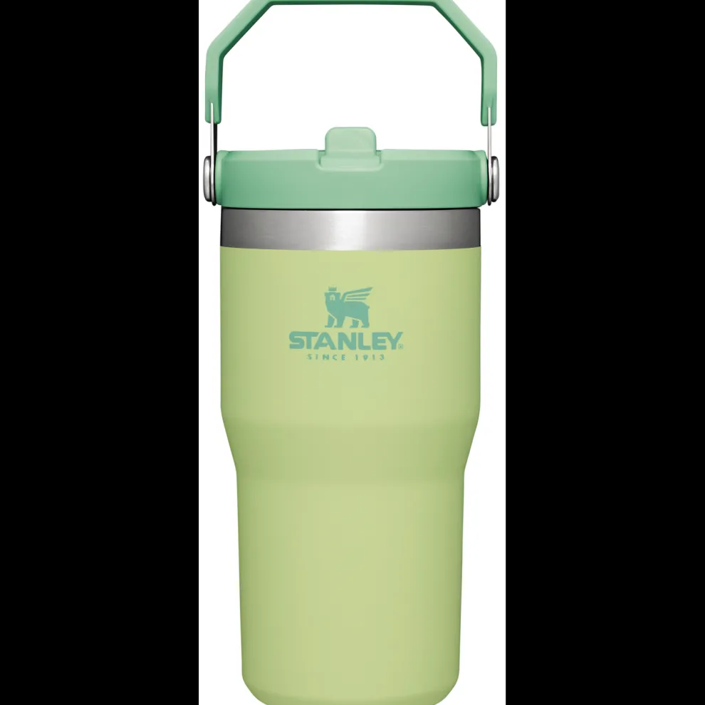 The Iceflow Flip Straw Tumbler 20 oz